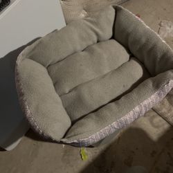 Cat Bed