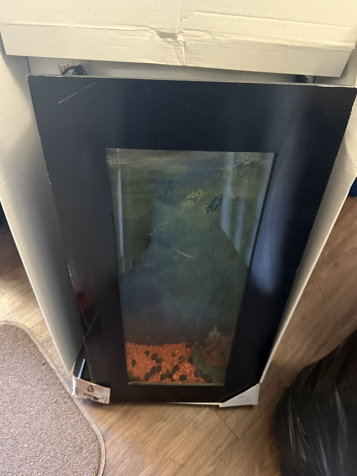 WALL FISH TANK