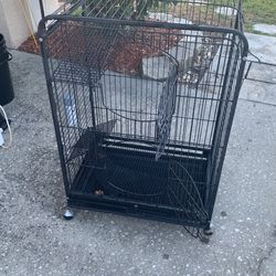Bird Cage