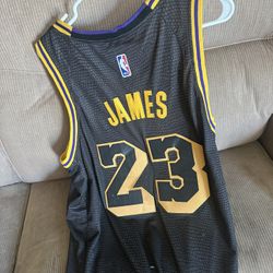 Lebron jersey Mamba Style 