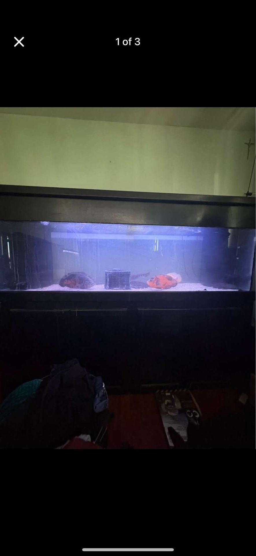 150 Gallon Tank Setup