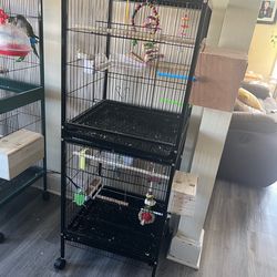 Double bird cage 1 moth use