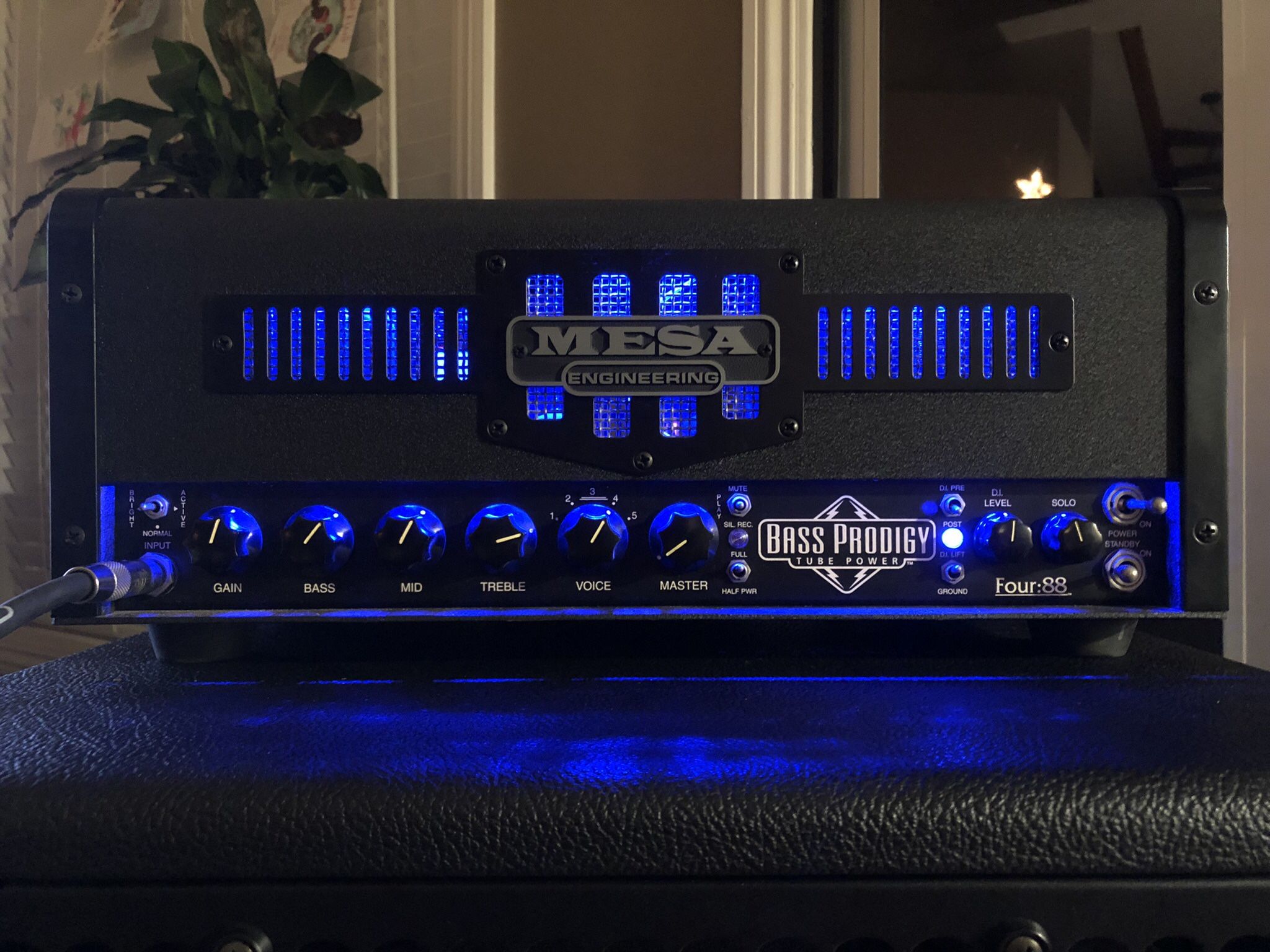 Mesa Prodigy Tube Bass Head for Sale in Santee, CA - OfferUp
