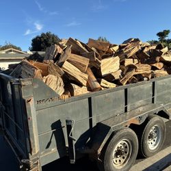 Fire Wood Oak Pine Eucalyptus