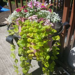 Big And Full Flower Pot Arrangement 