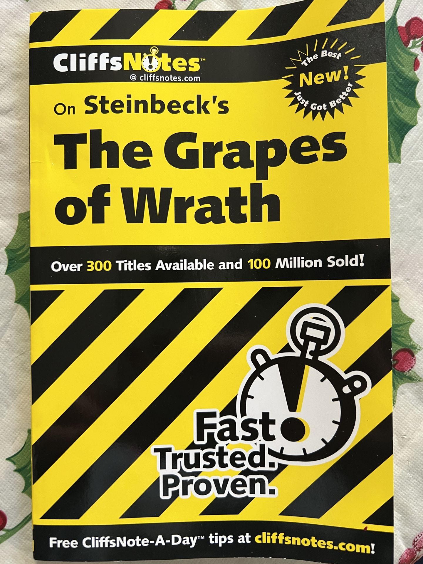 Brand New The Grapes of Wrath Cliffnotes Book