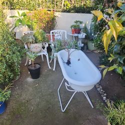 Big Plant Sale Going On Right Now !!!!! 