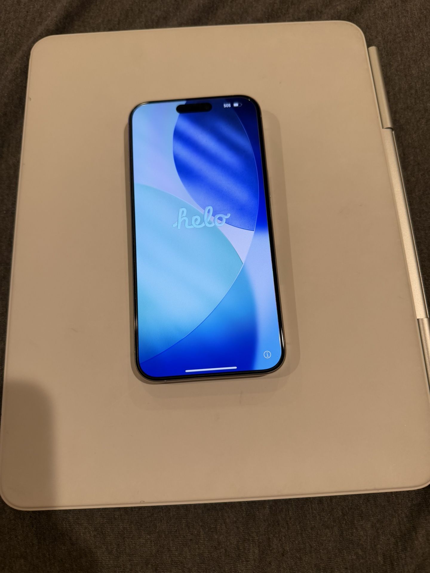 iPhone 15 Pro Max 256 GB