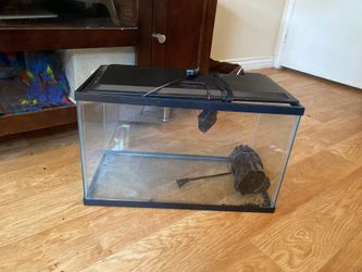 10 gallon led fish tank