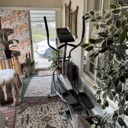 Stairstepper Elliptical