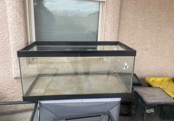 Large Glass Aquarium Tank with Black Frame