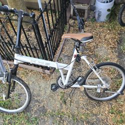 Folding Bike