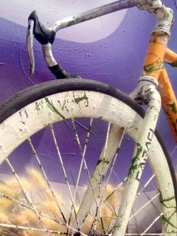 Custom Fixed Gear Bike