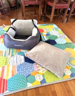 Dog 🐕 Car Seat