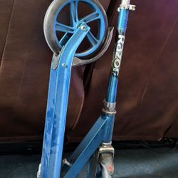 Razor Adult Scooter