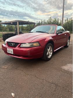 99-04 Hood&bumper