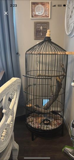 Bird Cage
