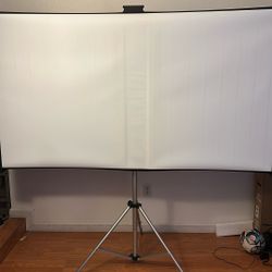 Projector And Screen Set