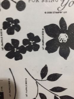 Stampin Up Stamps New