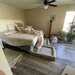 Room Household Clean🧹 🧼 