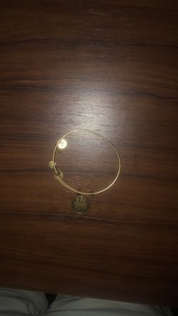Alex and Ani lucky charm bracelet