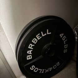 2- 45lb Plates