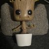 Groot