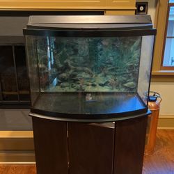 Aquarium 