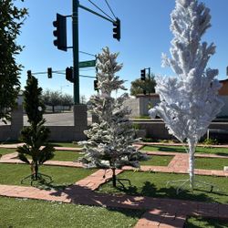 Christmas Tree New Diff Prices 