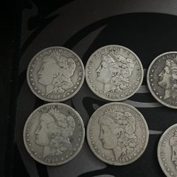 Morgan Silver Dollars 