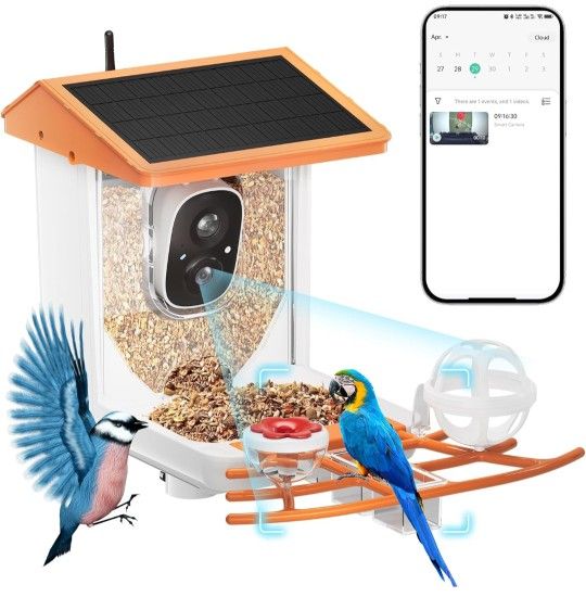 Camera Bird Feeder