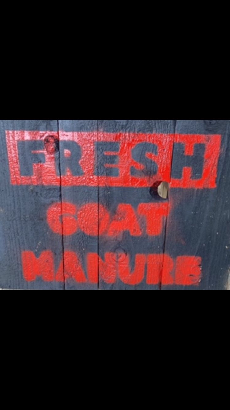 5lbs Premium Goat Manure