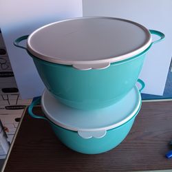 Tupperware® Thatsa® Mega 42-Cup Capacity Bowl with Lid