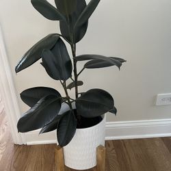 Plant Pot with Stand 