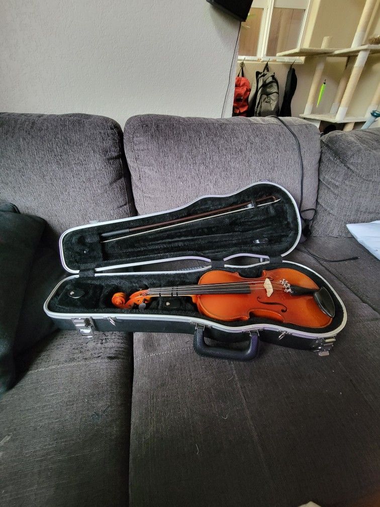 Violin
