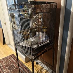 Bird Cage