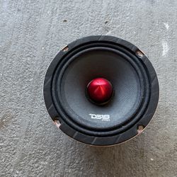 DS18 Car Speaker 