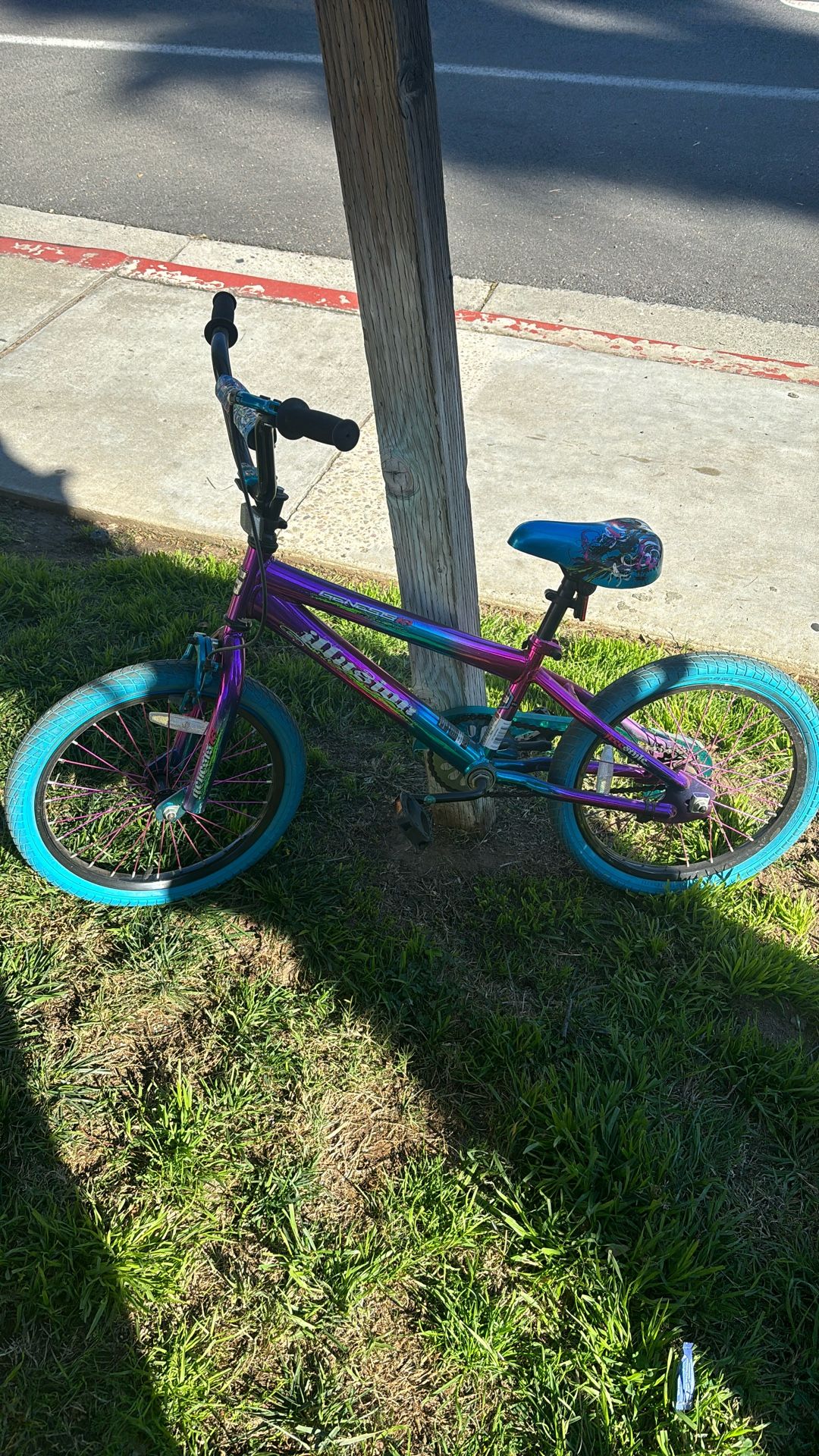 Girls Bike