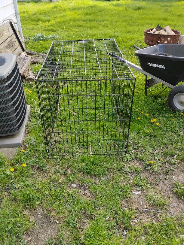 Large Dog Cage