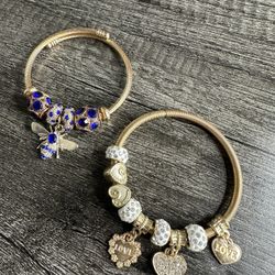 Charm Bracelet Bundle 