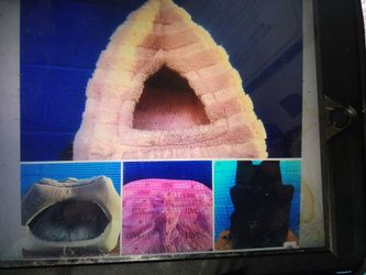 DOG CAT Pyramid BED PINK $15=GREY $15=CARPET $5= BACK PACK CARRIER  $10