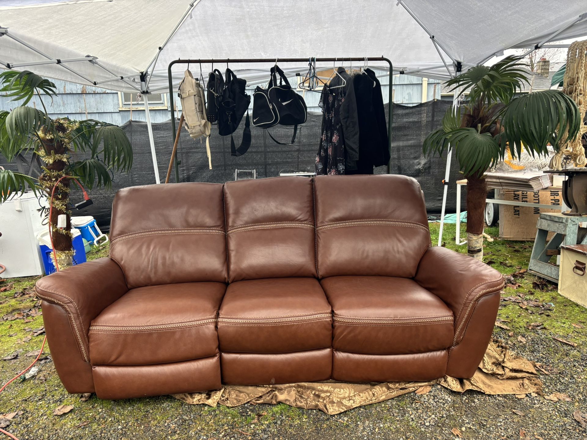 Electric Reclining Couch