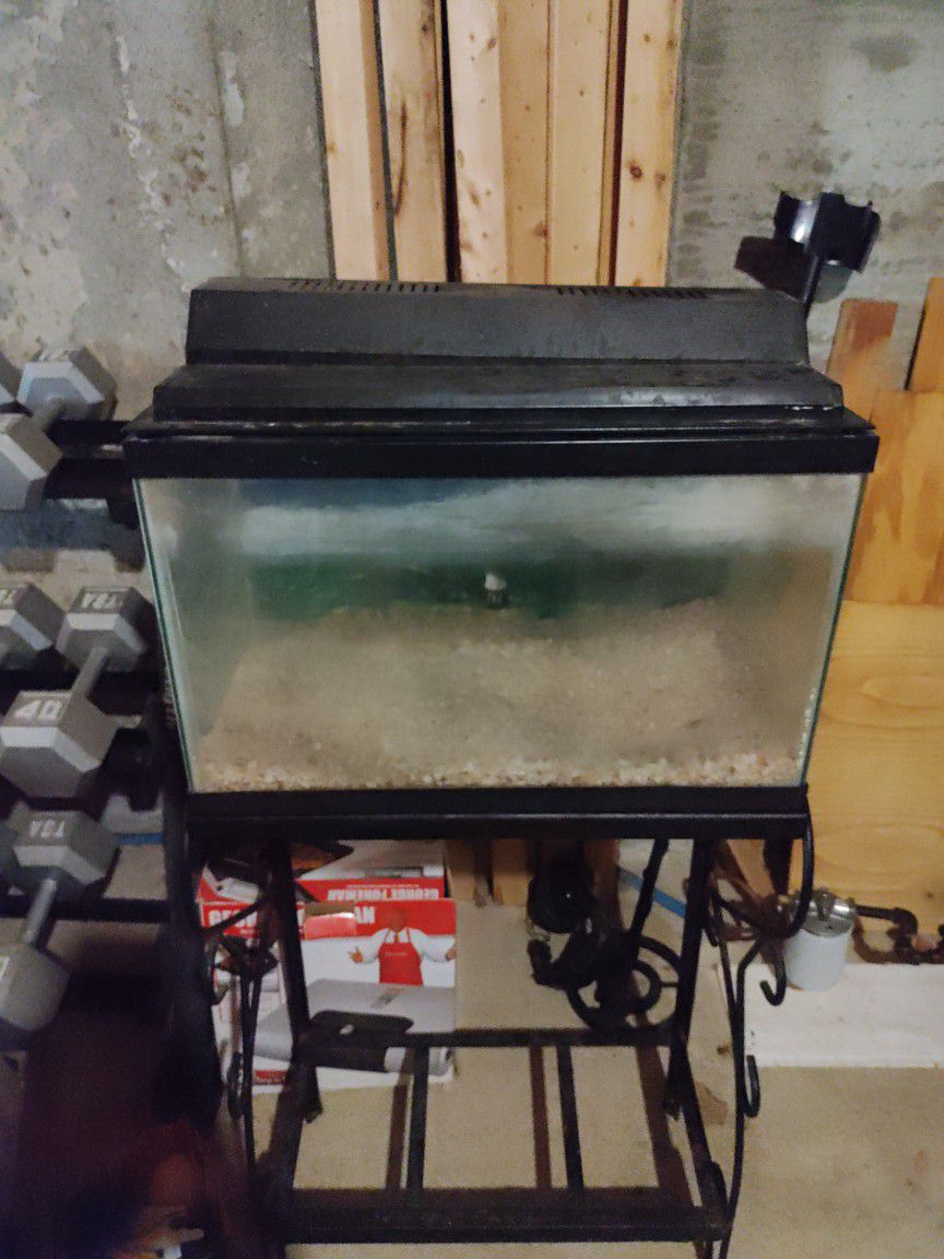 10 Gallon Fish Tank 