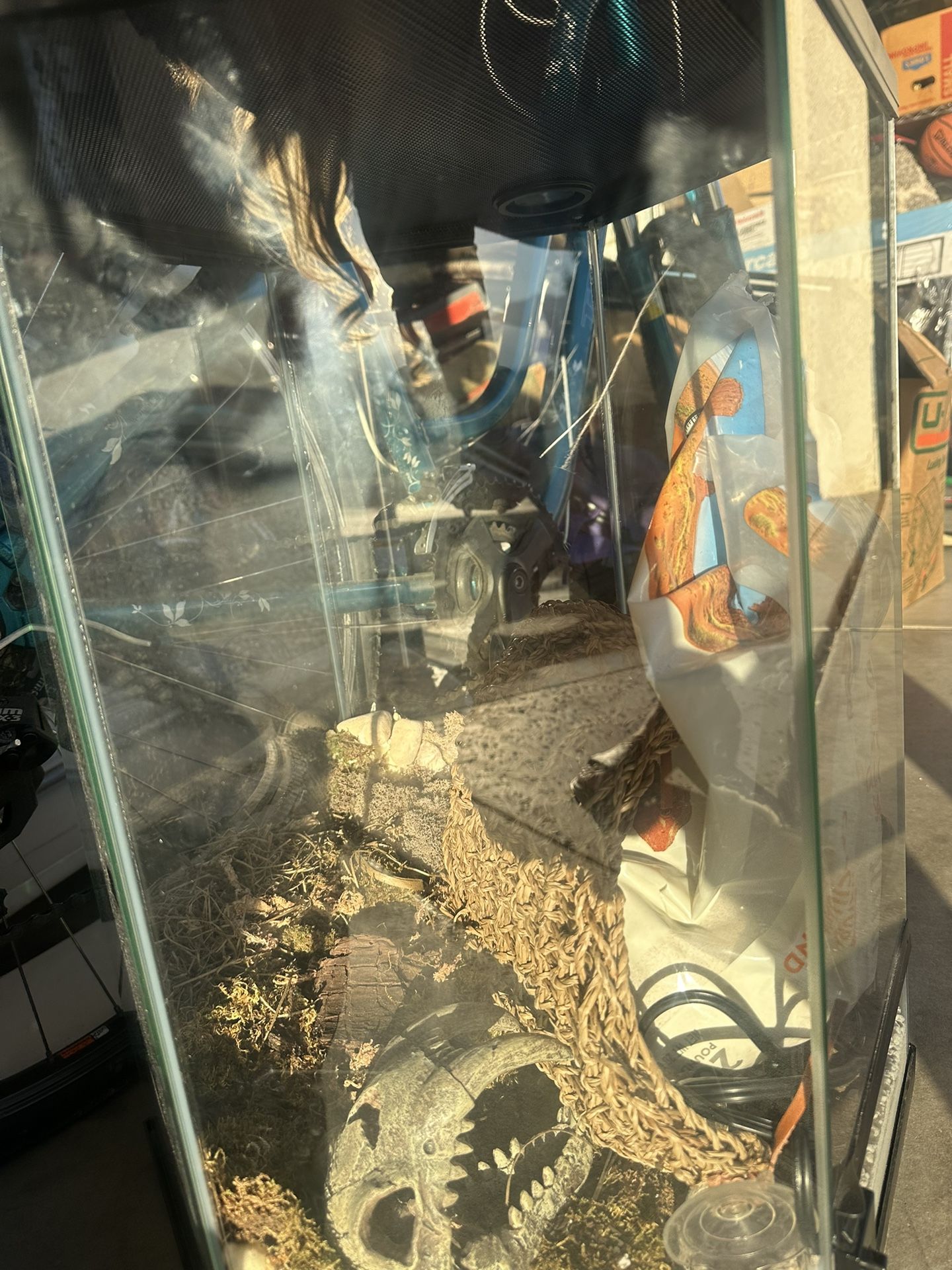 Snake/Lizard Enclosure