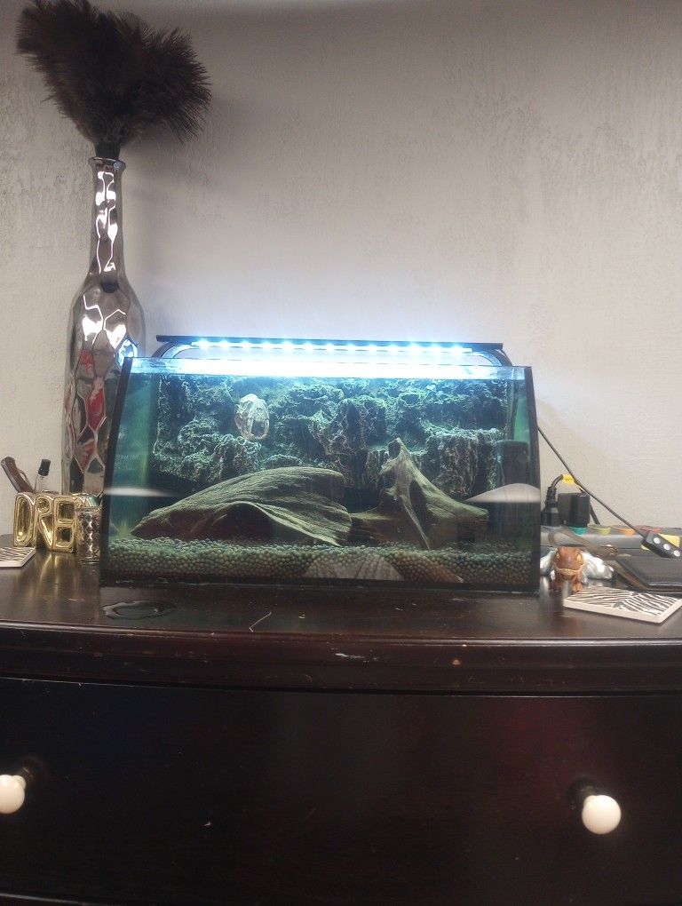 Dope 7 Gallon Aquarium
