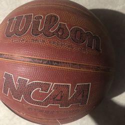 Wilson Basketball
