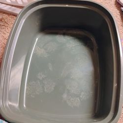 Cat Litter Box