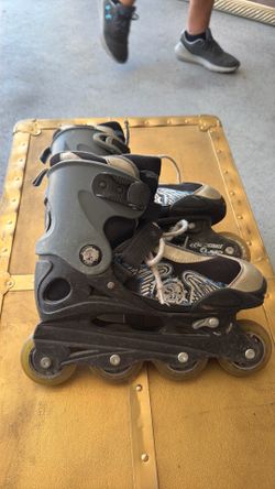 Bladerunner Rollerblades (Kid Size 4-7)