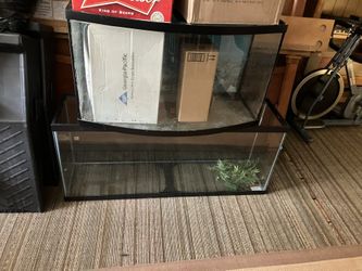 Fish Tanks