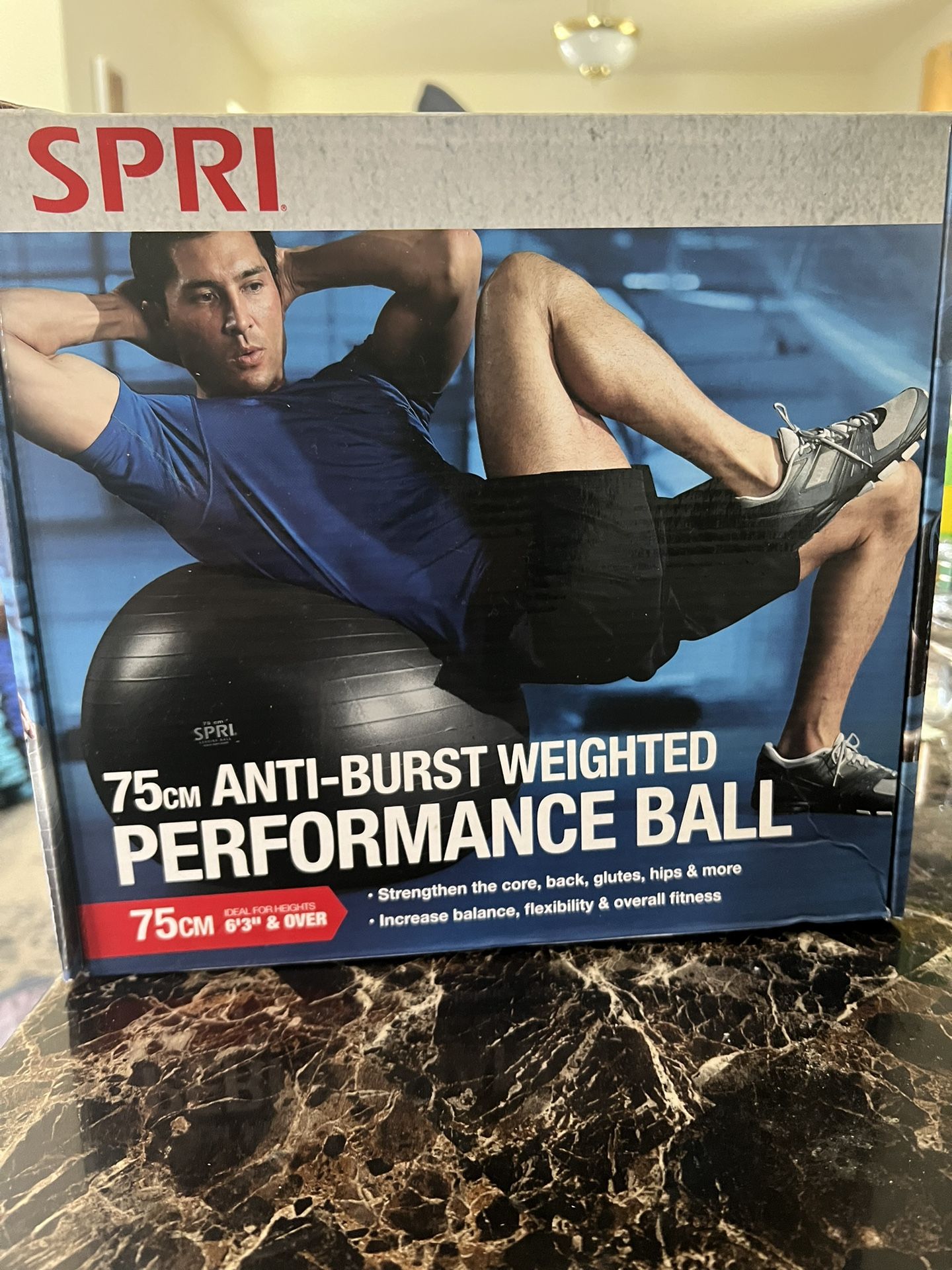 SPRI Weighted Stability Exercise Ball